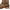 Shesole Extra Wide Calf Cowgirl Boots for Women with Buckles - Cowboy Boots with Hidden Stretch Panel & Removable Cushion - Comfort Square Toe Western Boots for Fuller Figures - SheSole